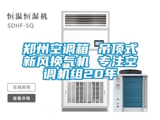 企業(yè)新聞鄭州空調(diào)箱 吊頂式新風(fēng)換氣機(jī) 專(zhuān)注空調(diào)機(jī)組20年