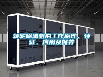 常見問題轉輪除濕機的工作原理、特征、應用及保養