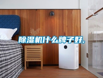 行業(yè)新聞除濕機什么牌子好,