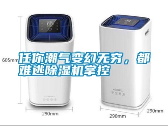 行業(yè)新聞任你潮氣變幻無窮，都難逃除濕機掌控