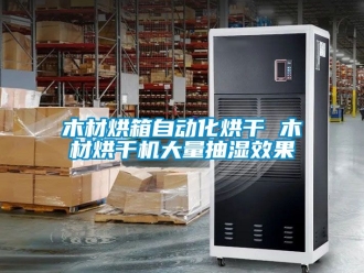 企業新聞木材烘箱自動化烘干 木材烘干機大量抽濕效果