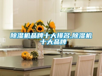 企業新聞除濕機品牌十大排名,除濕機 十大品牌