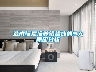 知識(shí)百科造成恒溫培養(yǎng)箱結(jié)冰的5大原因分析