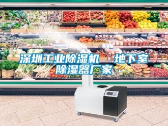 企業(yè)新聞深圳工業(yè)除濕機  地下室除濕器廠家