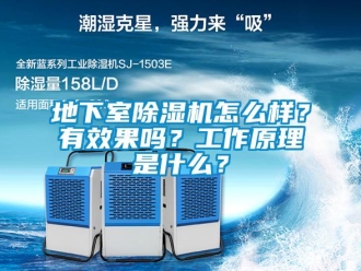 常見問題地下室除濕機怎么樣？有效果嗎？工作原理是什么？