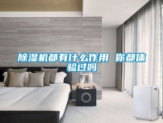 行業新聞除濕機都有什么作用 你都體驗過嗎