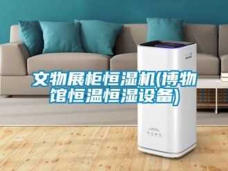 知識百科文物展柜恒濕機(博物館恒溫恒濕設備)