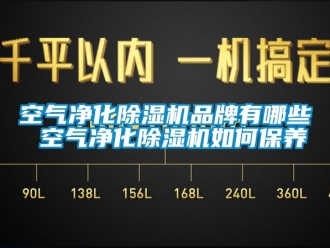 企業新聞空氣凈化除濕機品牌有哪些 空氣凈化除濕機如何保養