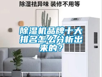 企業新聞除濕機品牌十大排名怎么分析出來的？