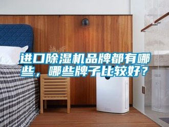企業新聞進口除濕機品牌都有哪些，哪些牌子比較好？