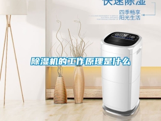 企業新聞除濕機的工作原理是什么