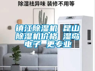 企業(yè)新聞鎮(zhèn)江除濕機 昆山除濕機價格 濕島電子 更專業(yè)