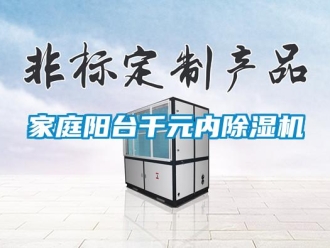 行業新聞家庭陽臺千元內除濕機
