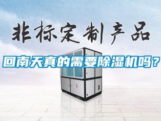 常見問題回南天真的需要除濕機嗎？