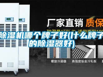 行業新聞除濕機哪個牌子好(什么牌子的除濕器好)