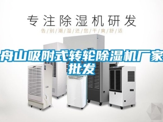 企業新聞舟山吸附式轉輪除濕機廠家批發