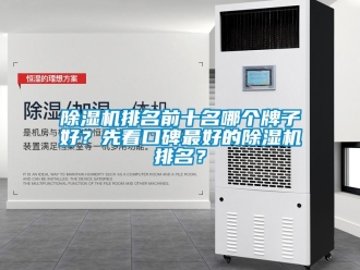 行業新聞除濕機排名前十名哪個牌子好？先看口碑最好的除濕機排名？