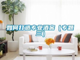 常見問題如何打造專業酒窖（專題三）