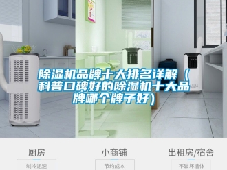 企業新聞除濕機品牌十大排名詳解（科普口碑好的除濕機十大品牌哪個牌子好）