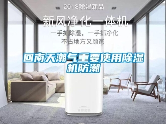行業新聞回南天潮氣重要使用除濕機防潮