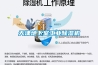 天津地下室工業除濕機