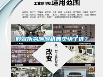 行業新聞假冒偽劣除濕機都賣給了誰？