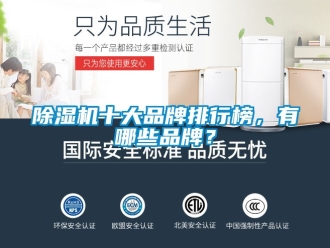企業新聞除濕機十大品牌排行榜，有哪些品牌？