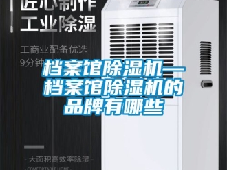 企業新聞檔案館除濕機—檔案館除濕機的品牌有哪些