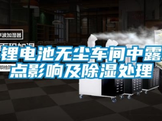 企業(yè)新聞鋰電池無塵車間中露點影響及除濕處理