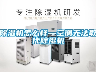 行業新聞除濕機怎么樣—空調無法取代除濕機