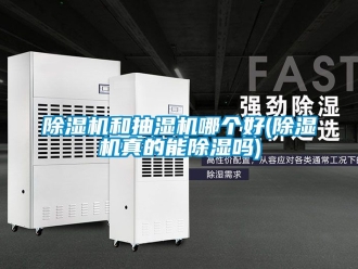 行業新聞除濕機和抽濕機哪個好(除濕機真的能除濕嗎)
