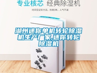 企業新聞湖州迷你單機轉輪除濕機生產廠家,迷你轉輪除濕機