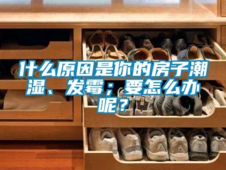 常見問題什么原因是你的房子潮濕、發霉；要怎么辦呢？