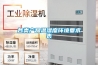 什么原因是你的房子潮濕、發霉；要怎么辦呢？