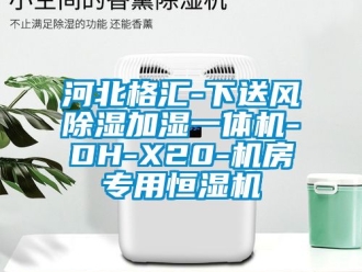 知識百科河北格匯-下送風除濕加濕一體機-DH-X20-機房專用恒濕機