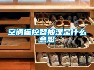 企業新聞空調遙控器抽濕是什么意思