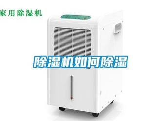 行業新聞除濕機如何除濕