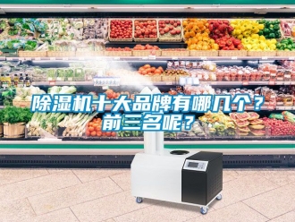 企業新聞除濕機十大品牌有哪幾個？前三名呢？