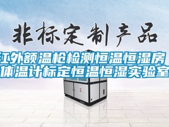 知識百科紅外額溫槍檢測恒溫恒濕房 體溫計標定恒溫恒濕實驗室
