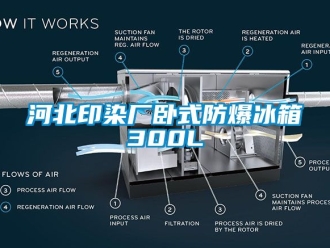 企業新聞河北印染廠臥式防爆冰箱300L