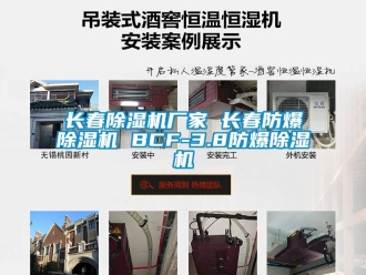 企業(yè)新聞長春除濕機廠家 長春防爆除濕機 BCF-3.8防爆除濕機