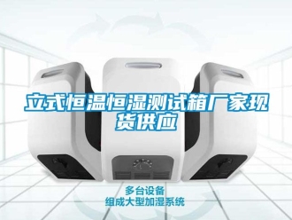 知識百科立式恒溫恒濕測試箱廠家現貨供應
