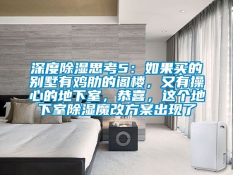 企業(yè)新聞深度除濕思考5：如果買的別墅有雞肋的閣樓，又有操心的地下室，恭喜，這個地下室除濕魔改方案出現(xiàn)了