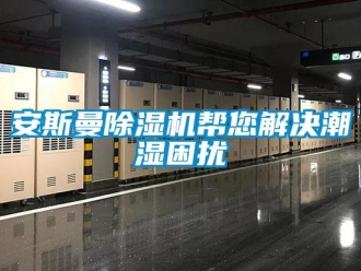常見問題安斯曼除濕機幫您解決潮濕困擾