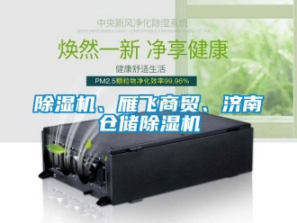 企業(yè)新聞除濕機(jī)、雁飛商貿(mào)、濟(jì)南倉(cāng)儲(chǔ)除濕機(jī)