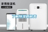 了解除濕的種類(lèi)