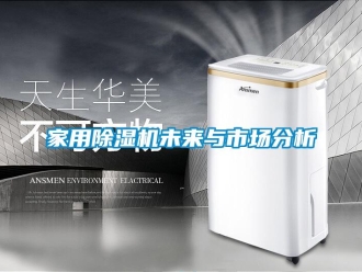 行業新聞家用除濕機未來與市場分析