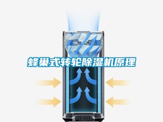 常見問題蜂巢式轉輪除濕機原理