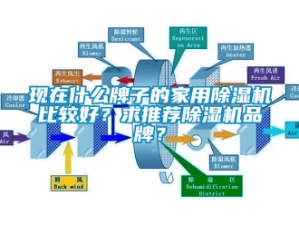 企業新聞現在什么牌子的家用除濕機比較好？求推薦除濕機品牌？