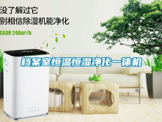 知識百科檔案室恒溫恒濕凈化一體機
